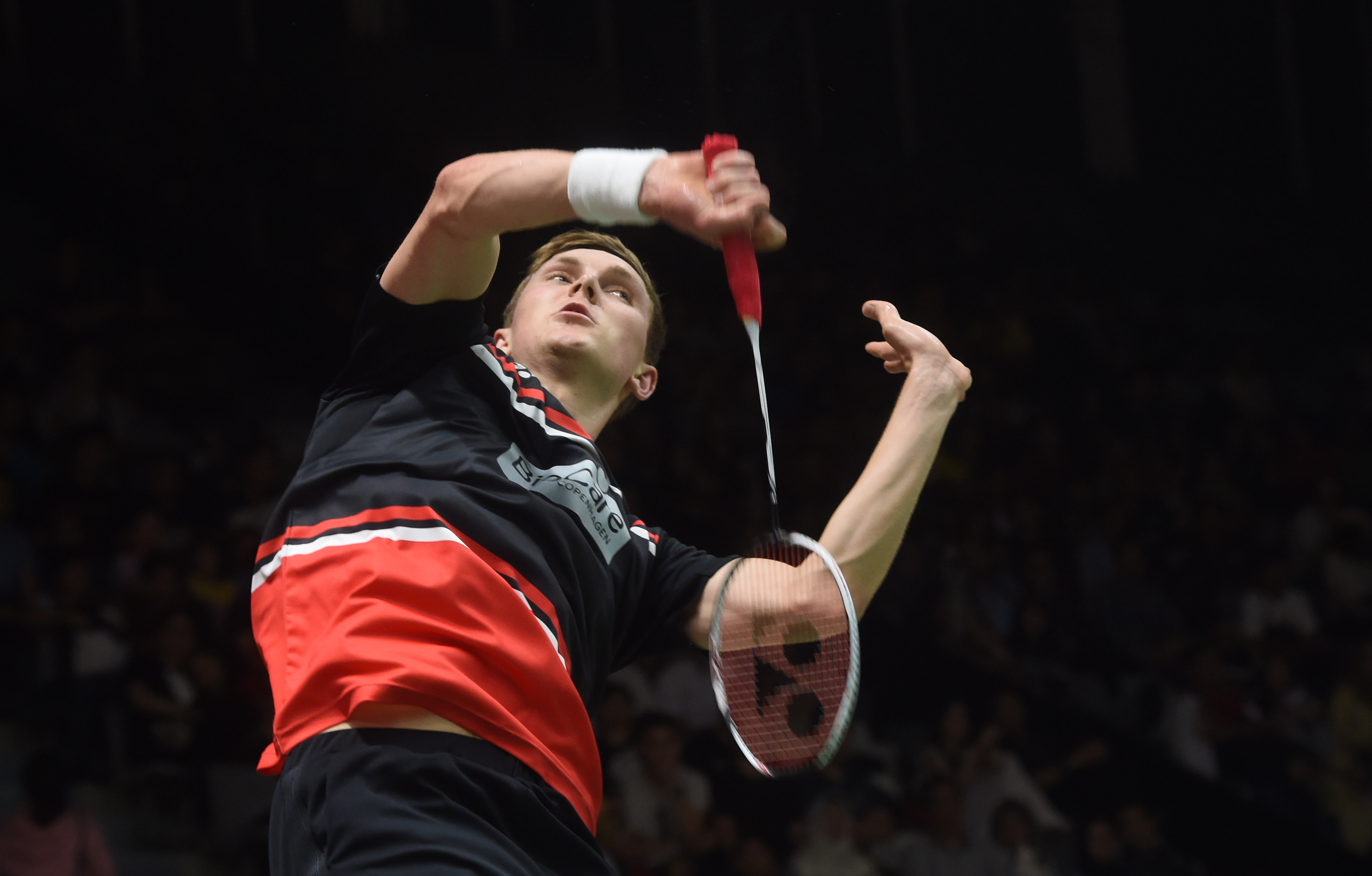 这种强调盟 这种强调盟