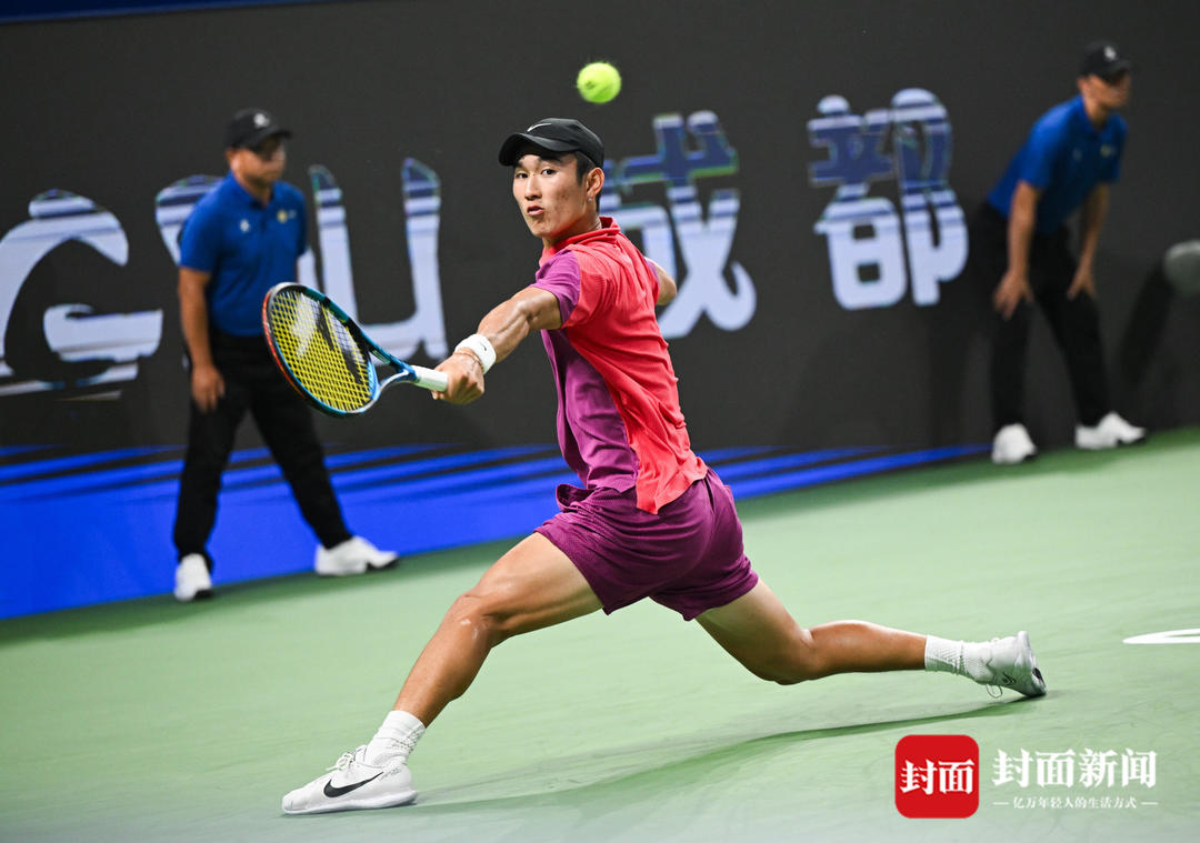 诸多猜测 诸多猜测