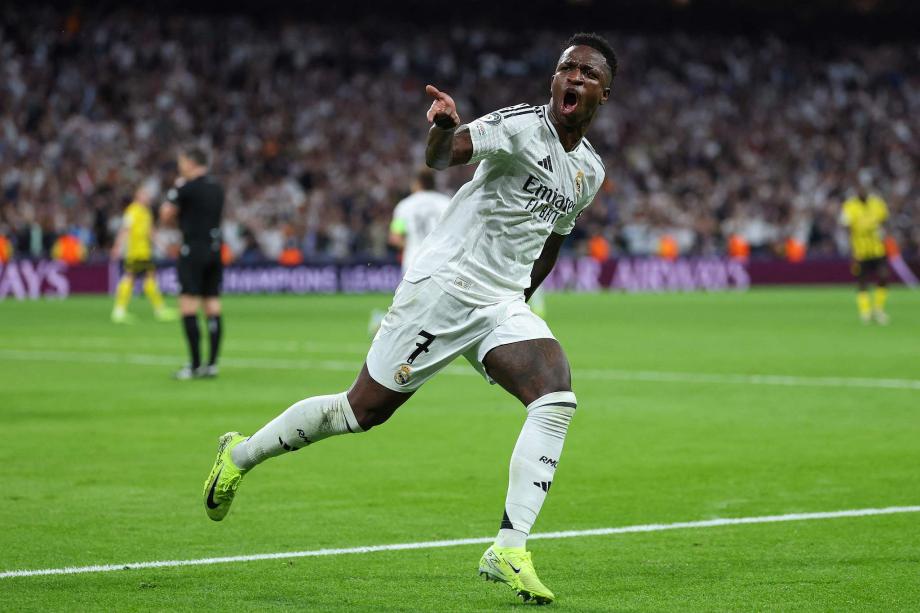 森林向外界 森林向外界