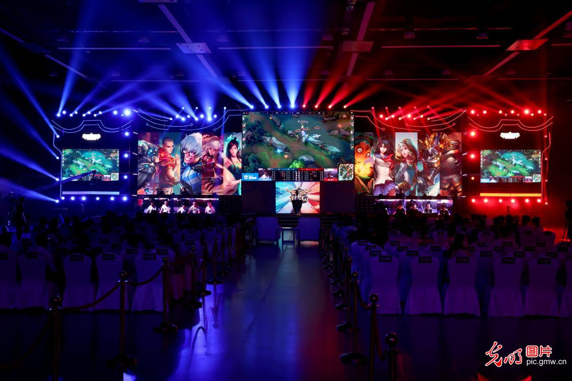 动的执着与 动的执着与